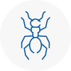 Ant Removals In Stanley