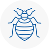 Bed Bug Extermination In Stanley