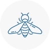 Bee Nest Removal Stanley