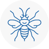 Stanley Hornet Nest Removals