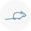 Mice Exterminators In Stanley