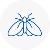 Moth Control Specialists In Stanley