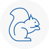 Stanley Rodent Removals