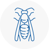 Stanley Wasp Nest Removal